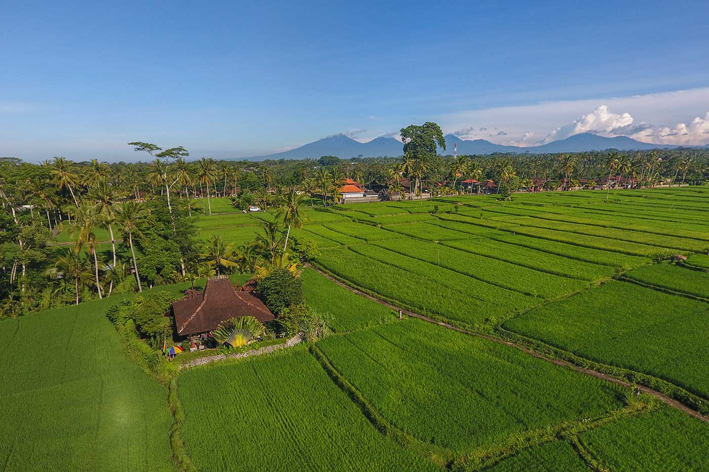 Ubudproperty