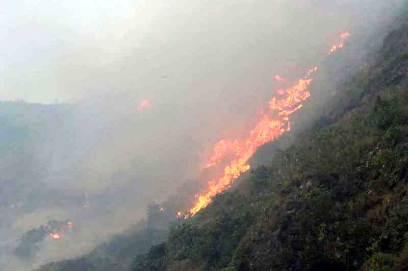 Perbukitan+Di+Nusa+Penida+Terbakar%2C+Puluhan+Wisatawan+Sempat+Terjebak