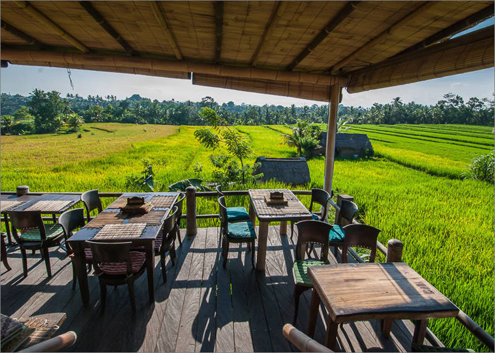 15+Vegetarian+Friendly+Restaurants+In+Ubud